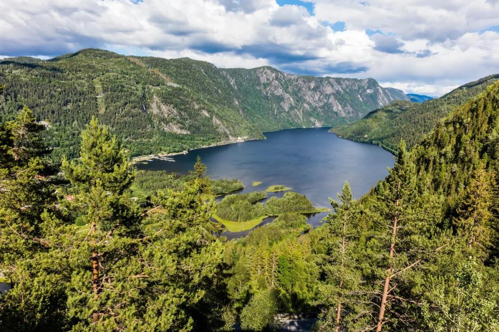 Telemark