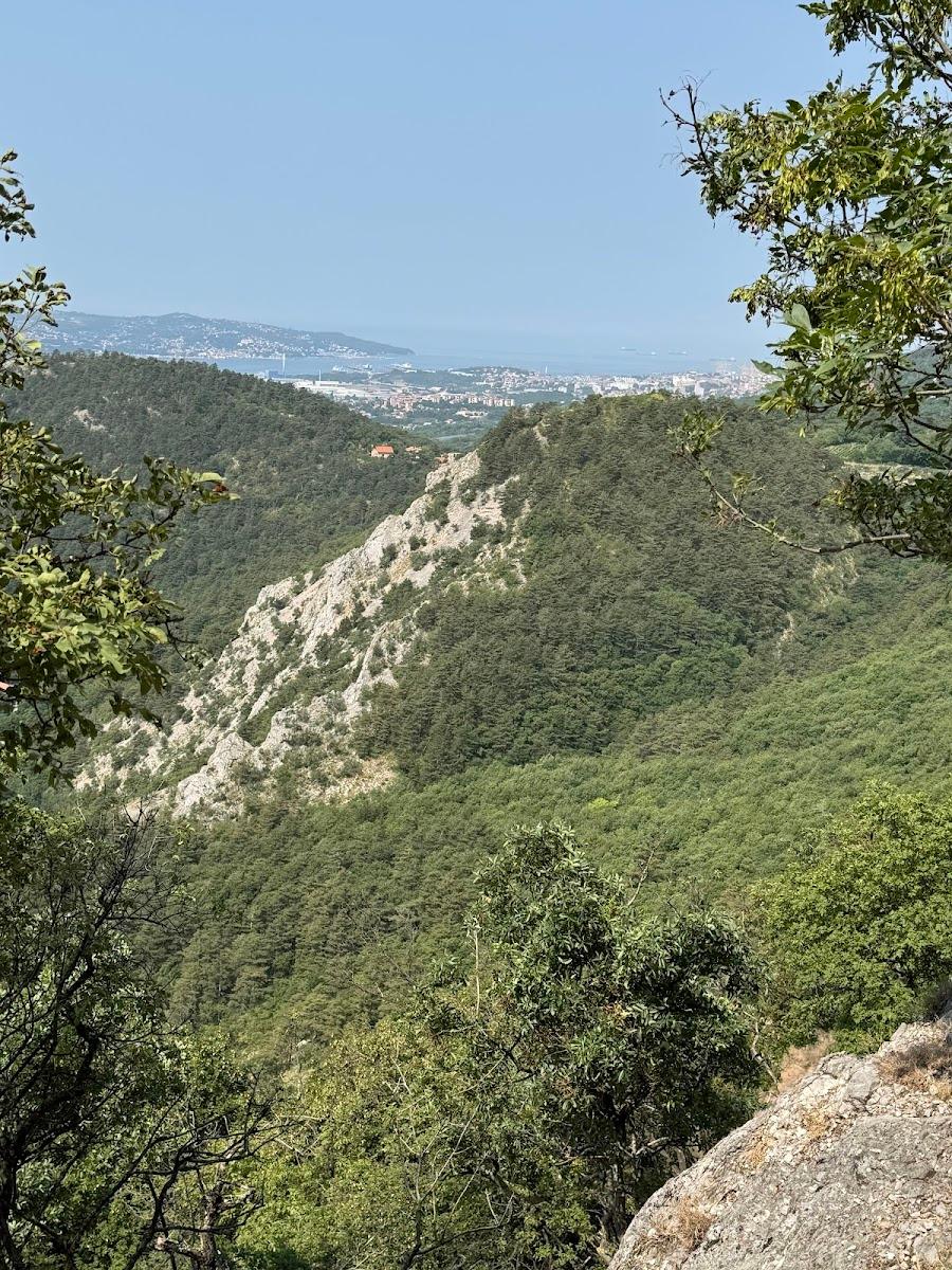 View from forested hillside over rocky slopes toward a coastal city and the sea.