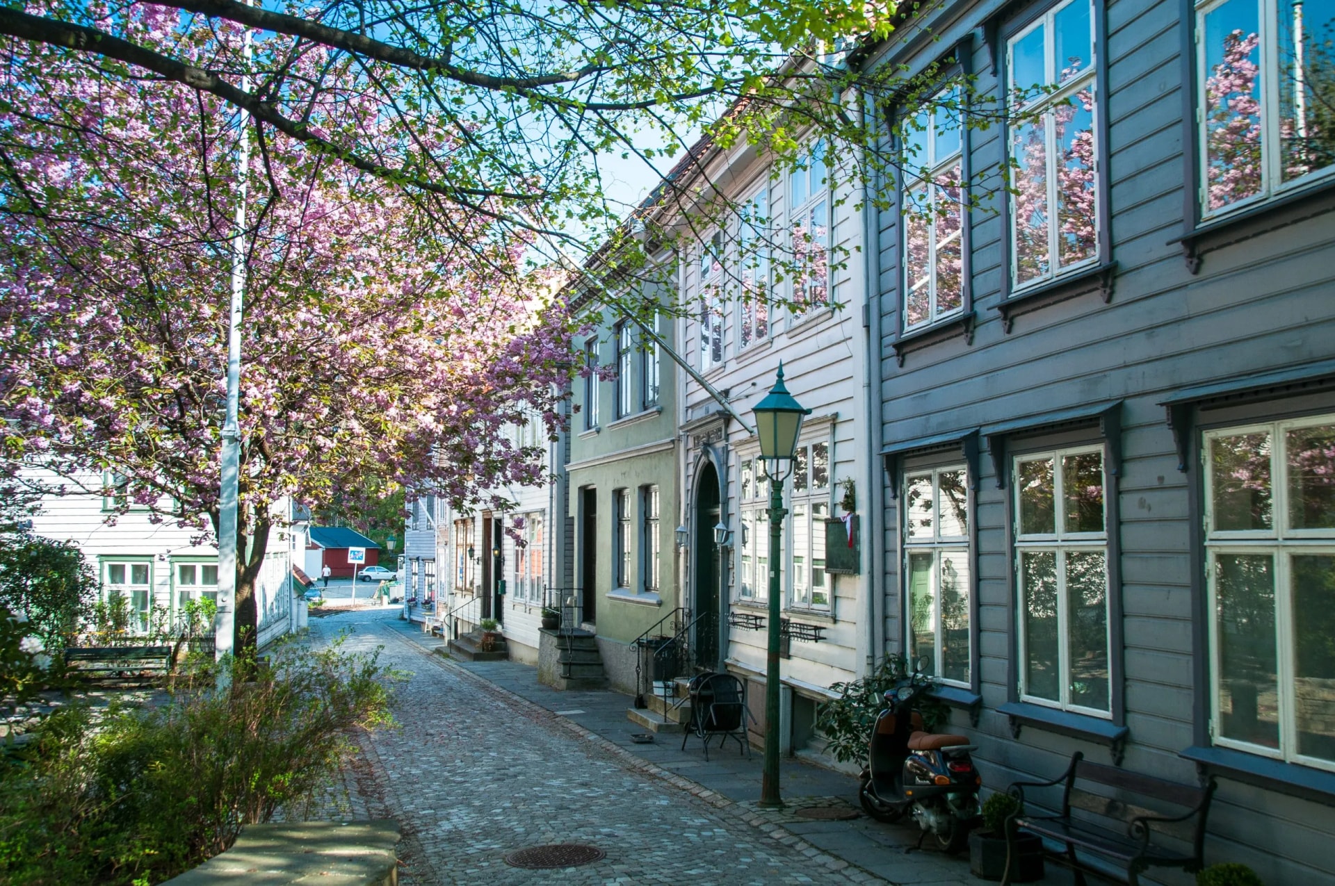 calle de bergen