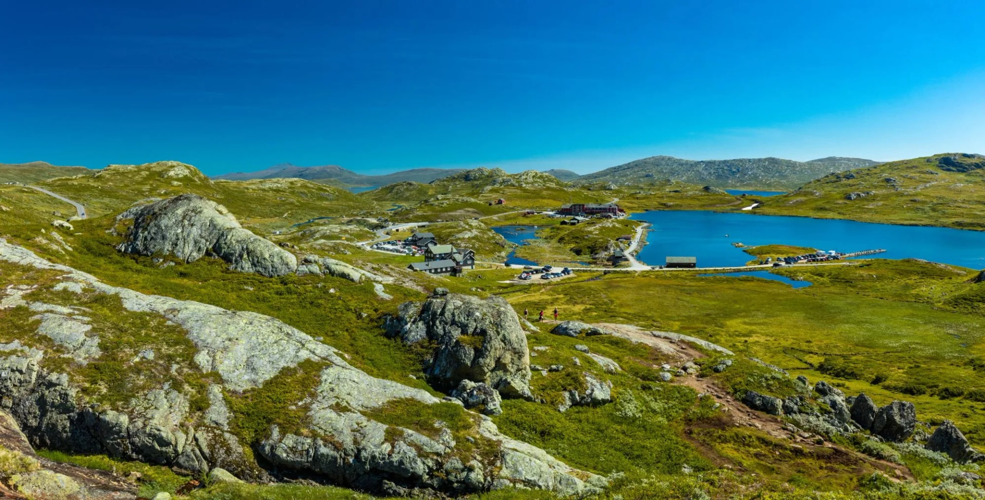 Synshorn view