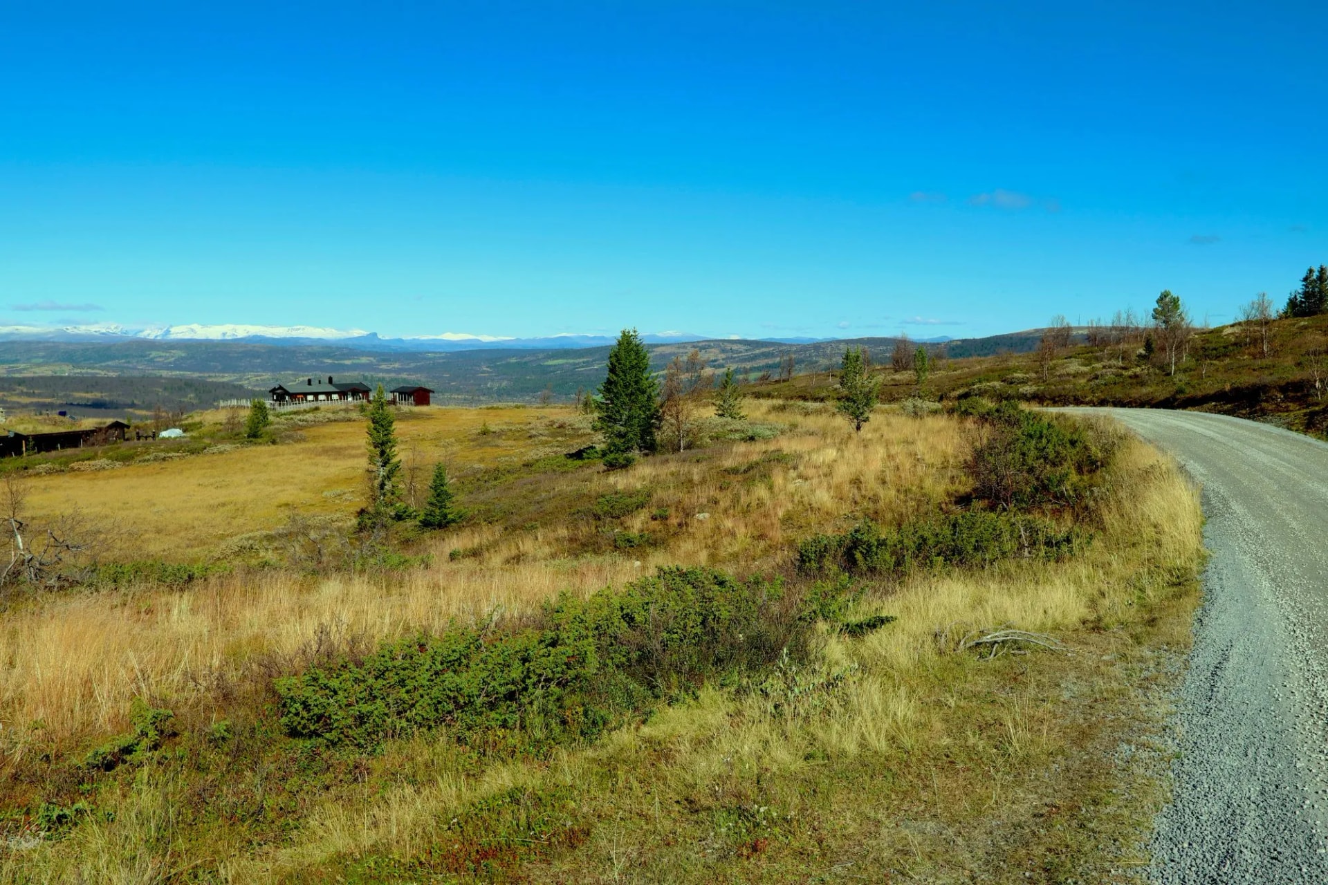 vaset landscape