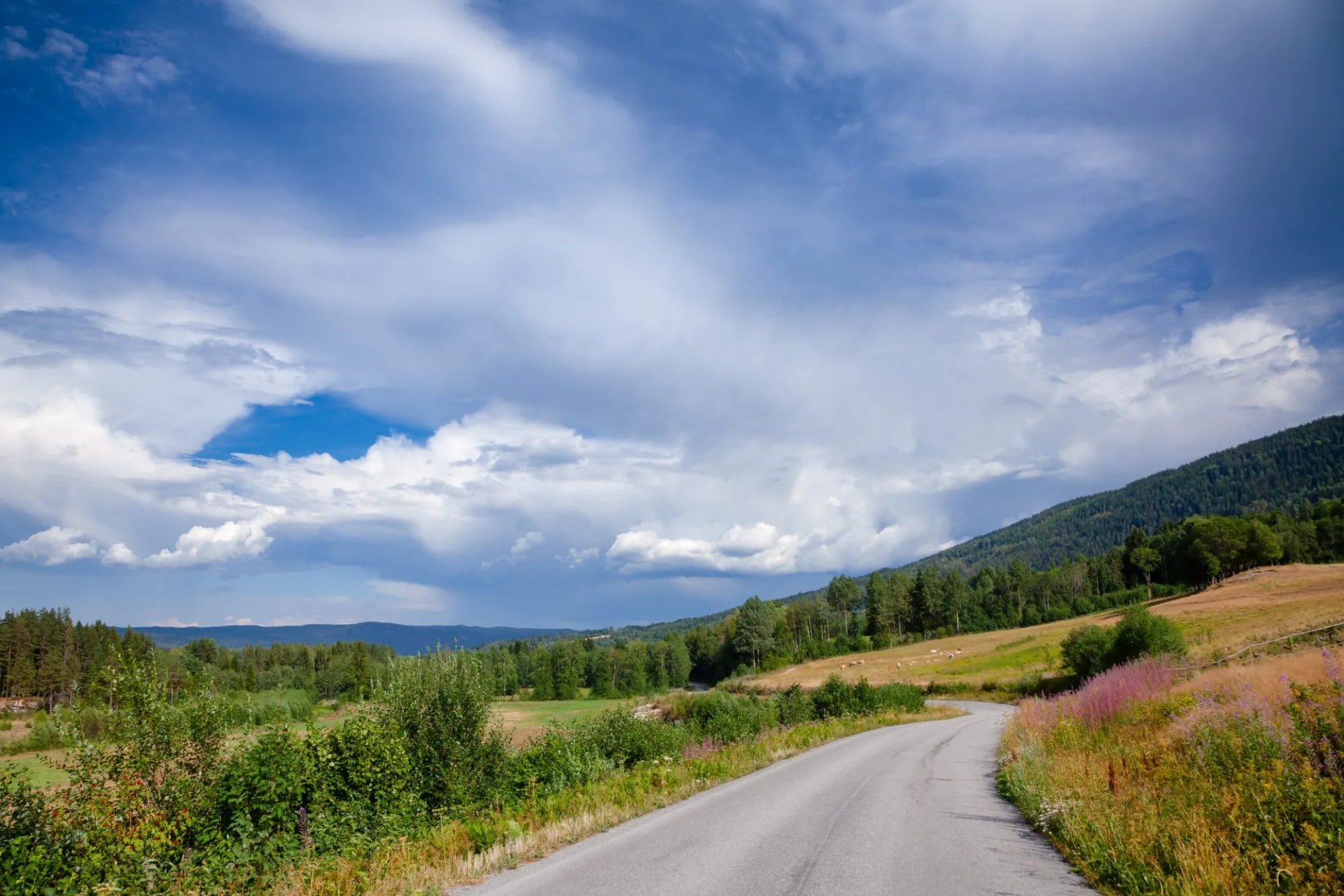 road in telemark