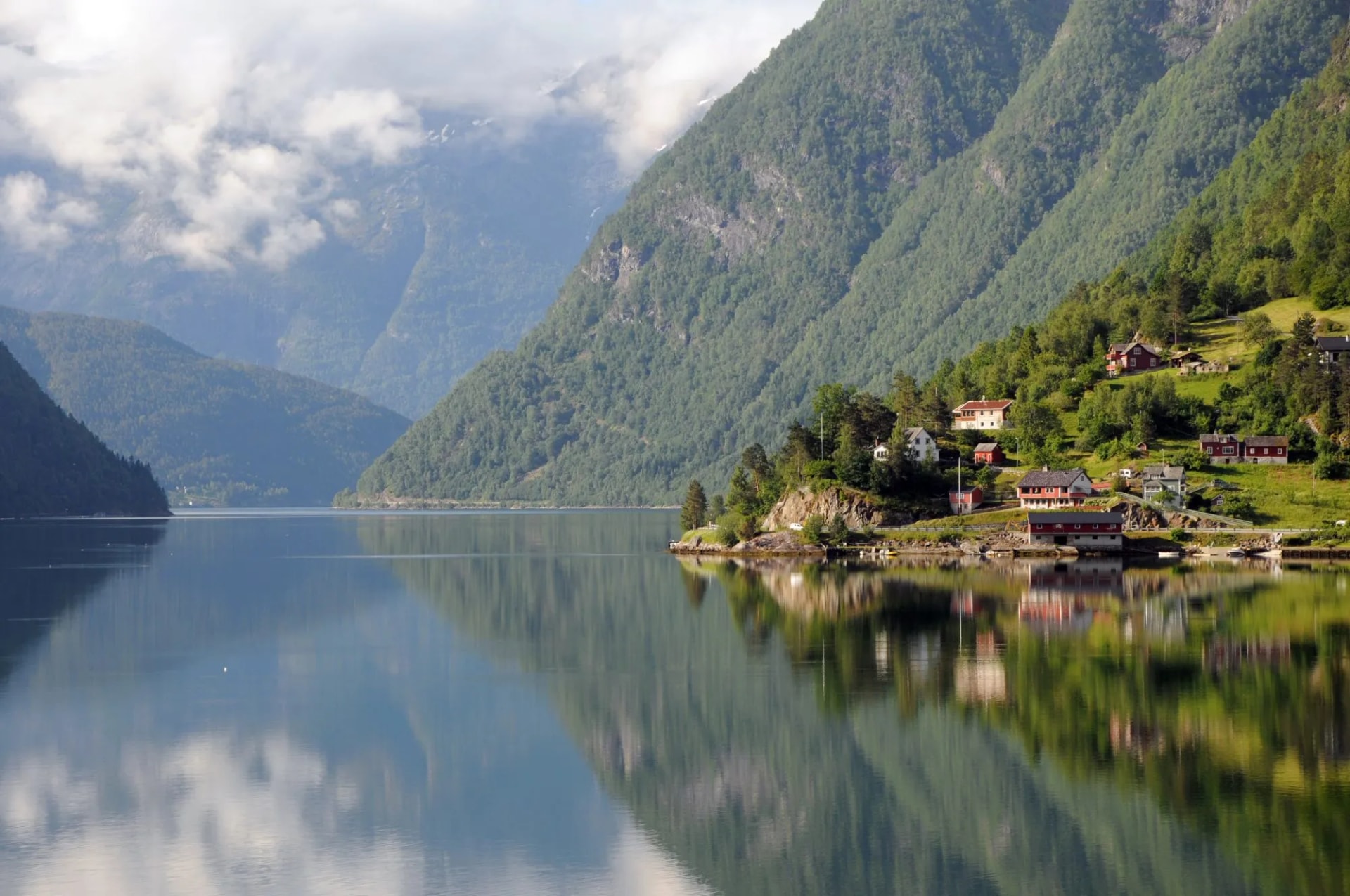 Ulvik morning mist
