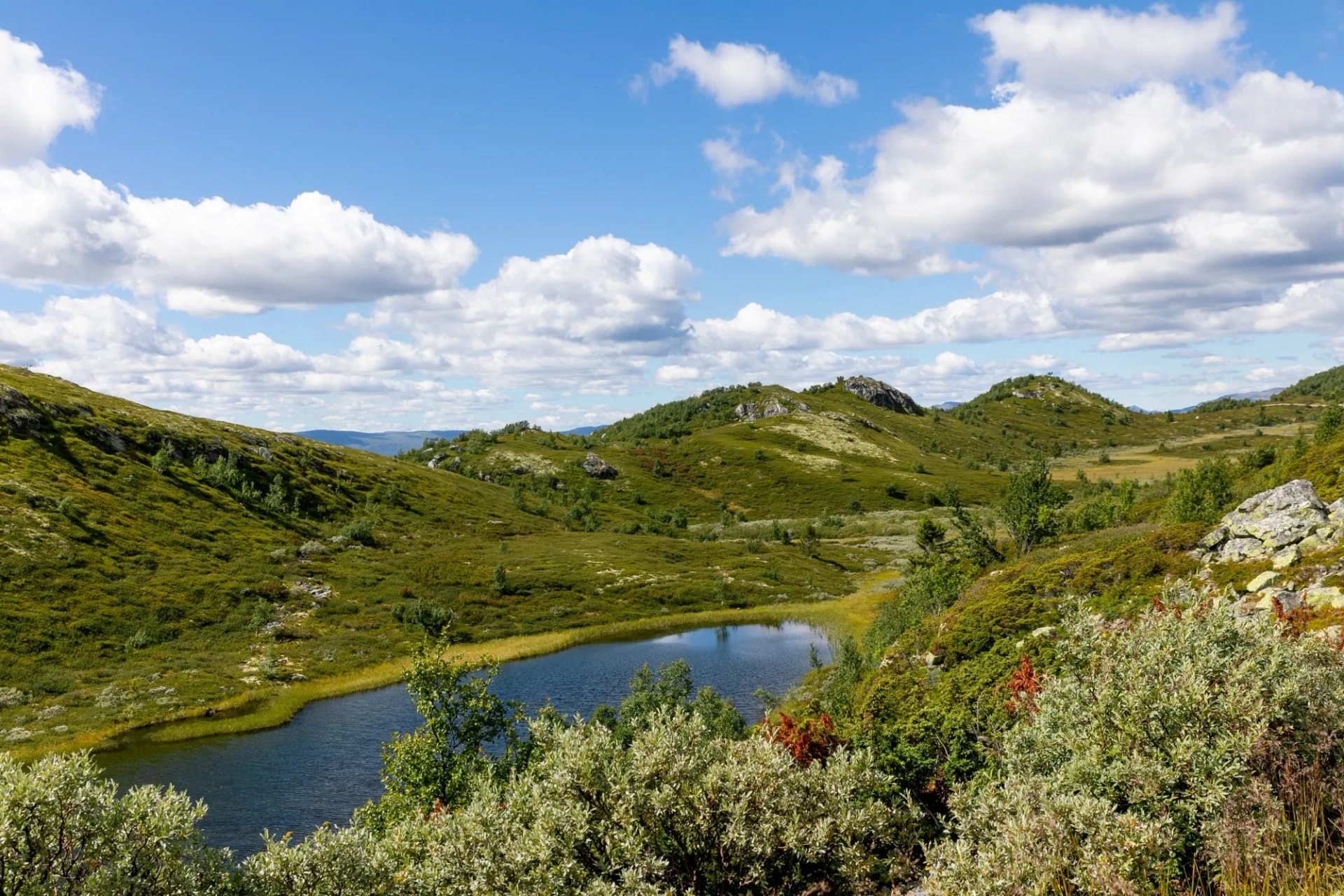 peer gynt road view