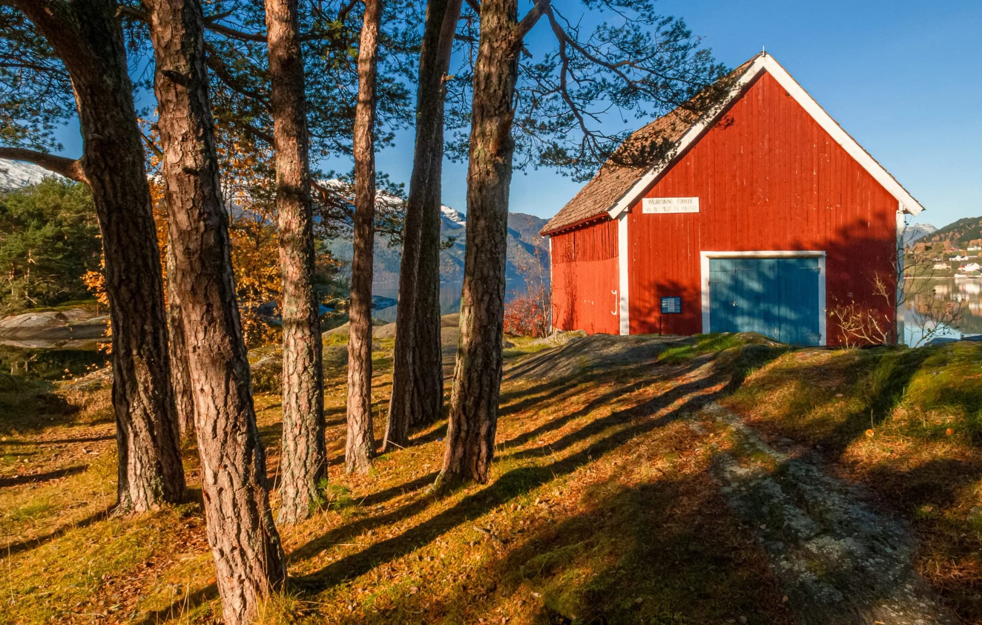 Red boatshed under pines, Sandane - Norway
