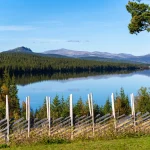 Gålå norge utsikt över vatten